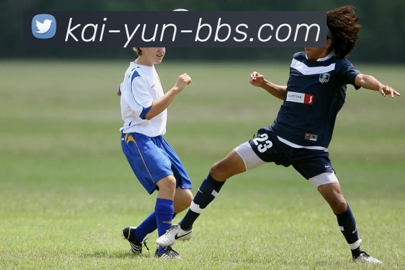 开云平台展示图