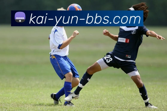 开云官网全站App